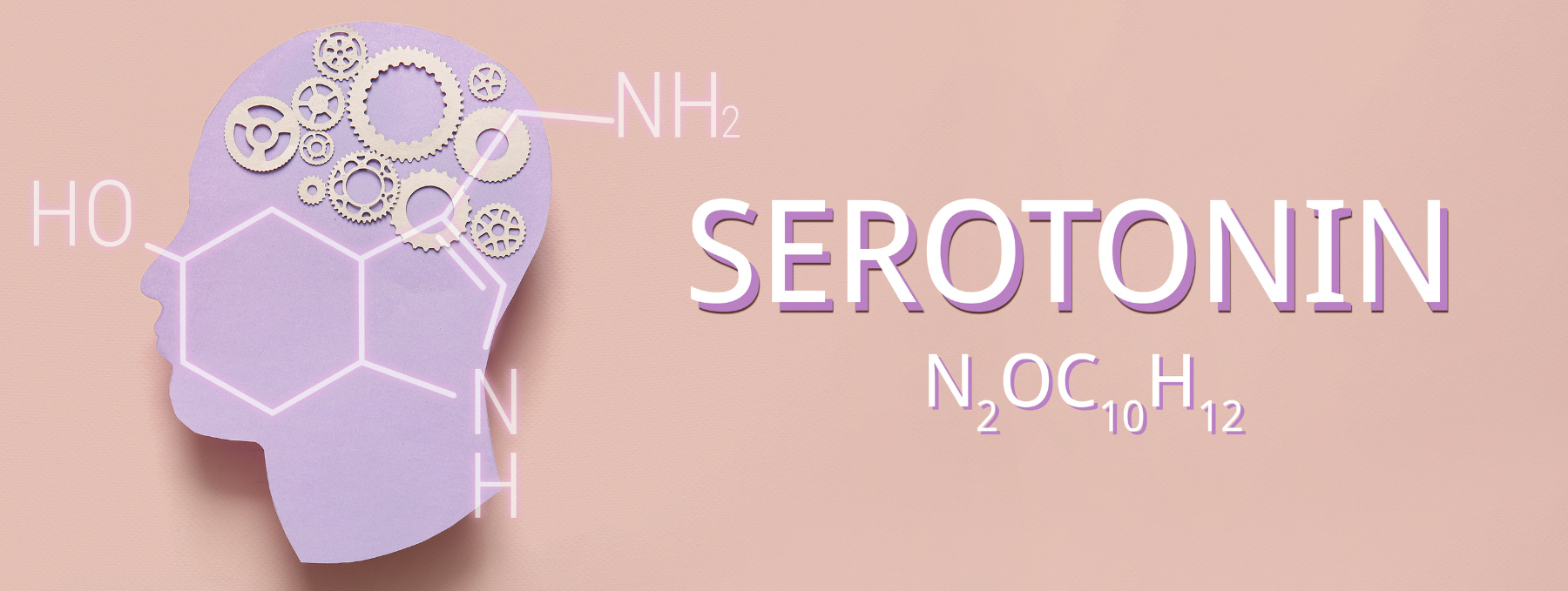 Serotonin deficiency, what causes serotonin deficiency, serotonin, mood, neurotransmitters