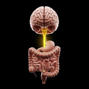 Serotonin mood, serotonin in gut, gut-brain connection, serotonin production