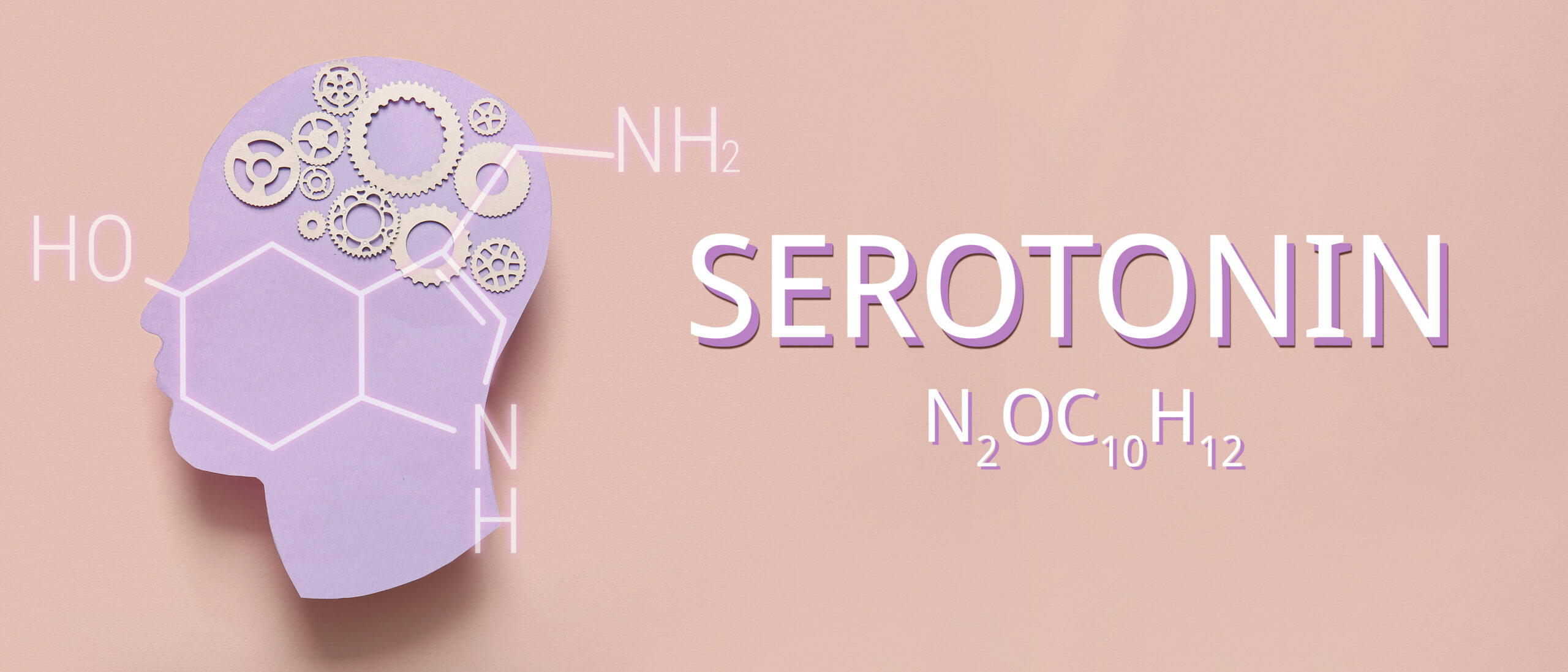 Serotonin deficiency, what causes serotonin deficiency, serotonin, mood, neurotransmitters