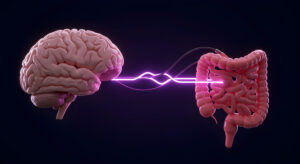 Gut-brain connection, serotonin and stress, serotonin and gut health