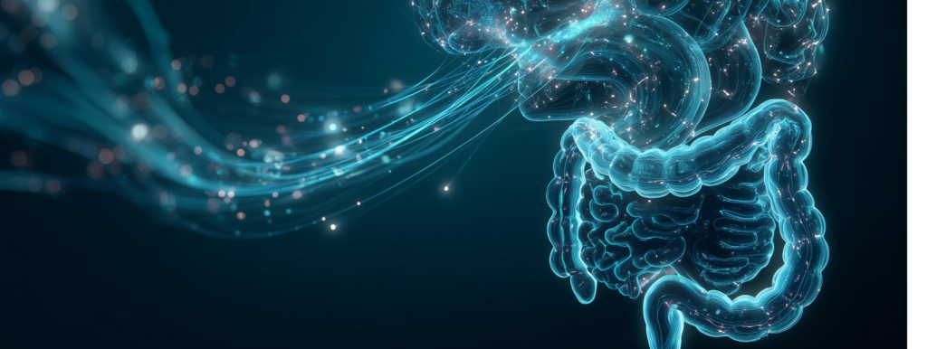 Serotonin gut health, serotonin and digestion, serotonin for digestion