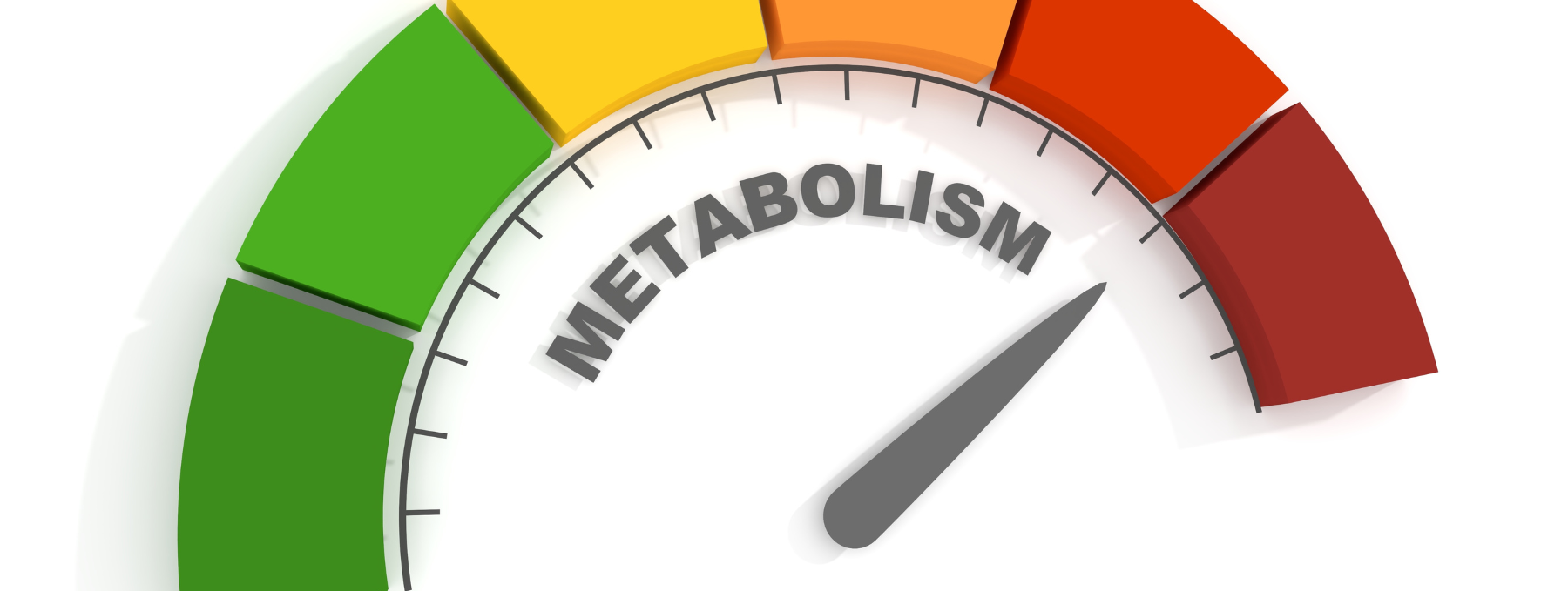 Metabolism, serotonin and metabolism, serotonin regulates metabolism