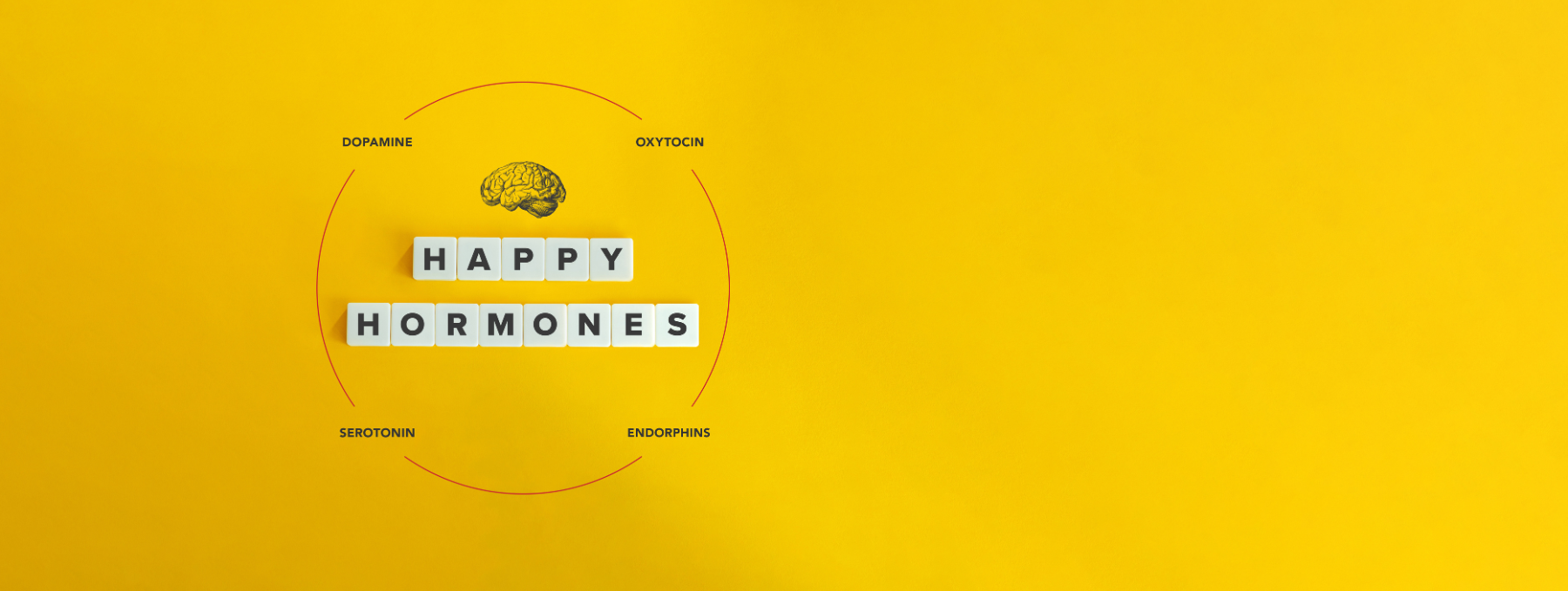 Serotonin hormone, is serotonin a hormone, serotonin neurotransmitter