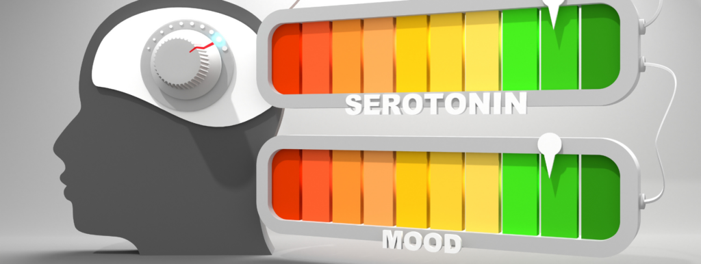 Serotonin supplement, serotonin for mood, supplement with serotonin, serotonin brain, serotonin mood