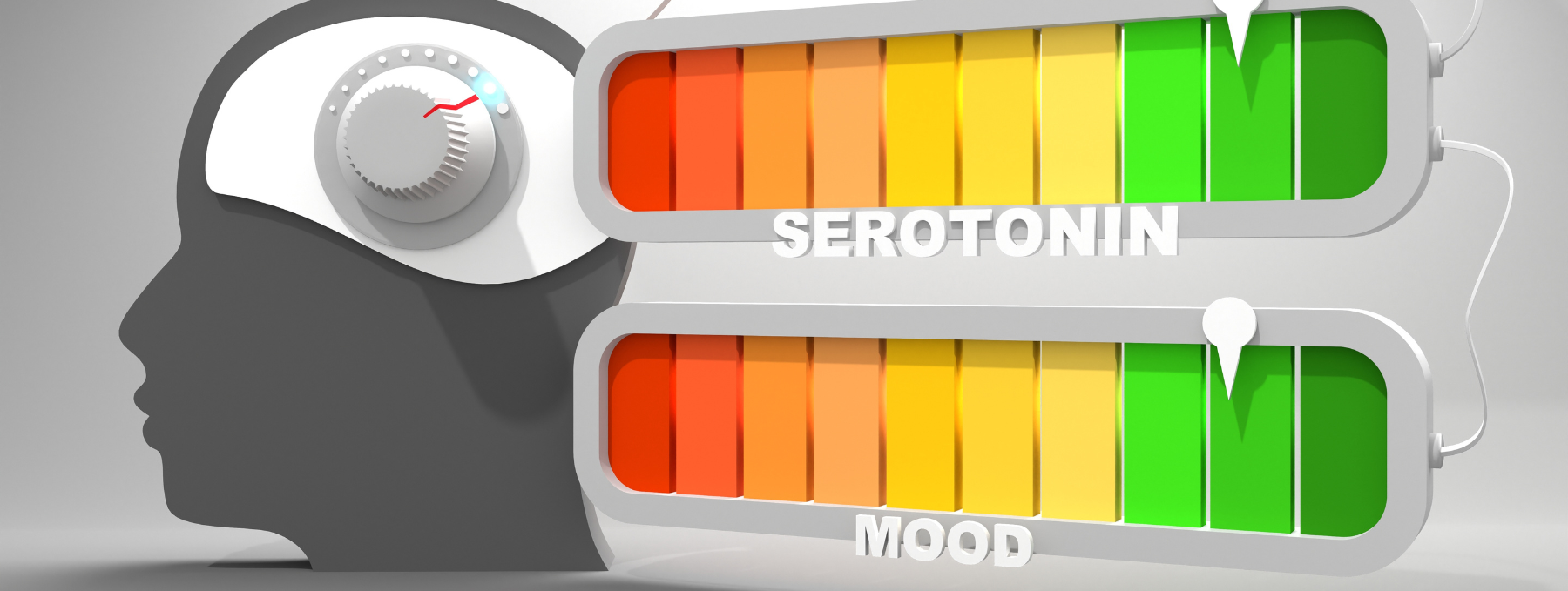 Serotonin supplement, serotonin for mood, supplement with serotonin, serotonin brain, serotonin mood