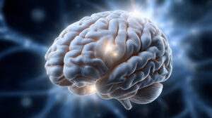 Serotonin production, serotonin and the brain, serotonin