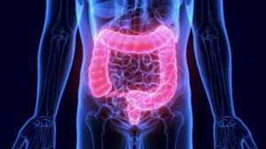 Serotonin and gut health, gut health, serotonin and the gut