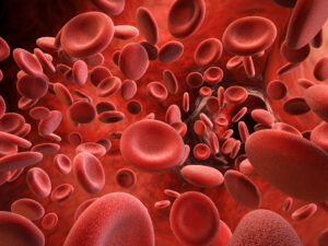Serotonin and blood platelets, serotonin and blood, serotonin and cardiovascular health