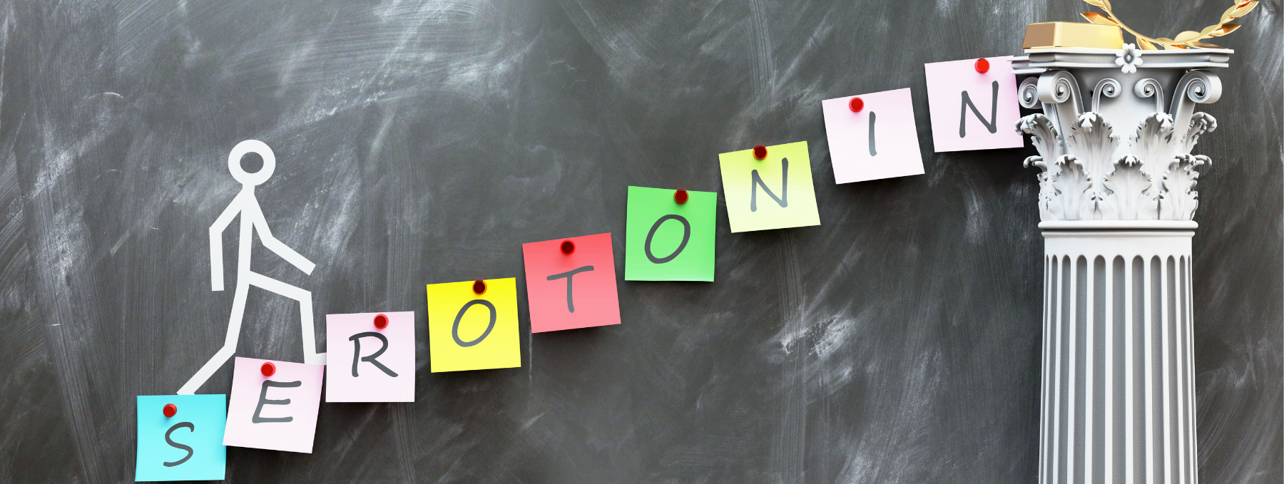 Serotonin in brain, CNS serotonin, peripheral serotonin, two pools of serotonin