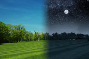 Light-dark cycle, day-night cycle, circadian rhythm