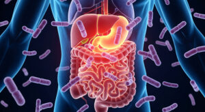 Gut health influences sleep, gut health and serotonin, brain serotonin and gut serotonin