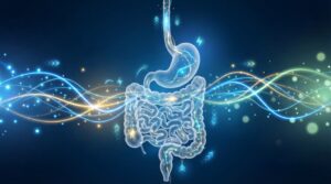 Gut health, gut health and serotonin