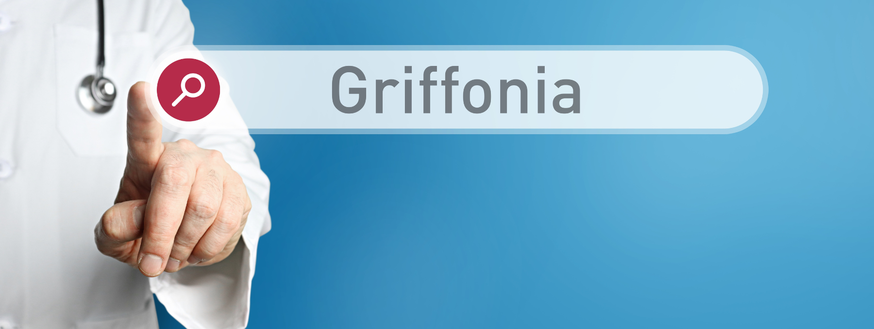 Griffonia simplicifolia, griffonia and serotonin, griffonia serotonin source, griffonia natural serotonin