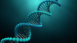 DNA molecule, serotonin and DNA, serotonin DNA