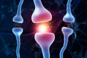 Serotonin receptors, serotonin signaling, serotonin