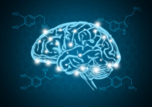 Does gratitude increase serotonin, serotonin in brain, gratitude and serotonin