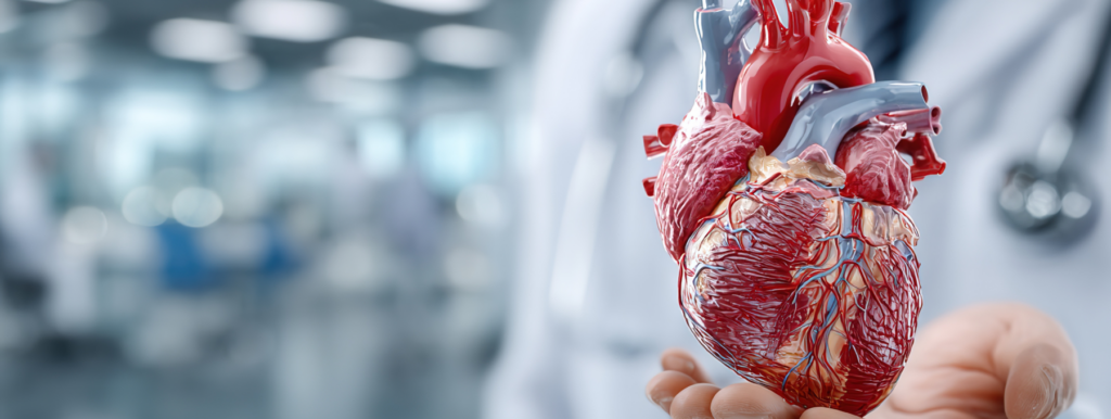 Serotonin and heart valve disease, serotonin and DMR, serotonin and heart disease