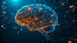 Brain connections, brain connections and OCD