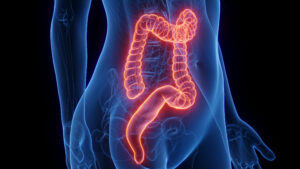 Serotonin receptors, serotonin and gut motility, serotonin in gut, serotonin and digestion