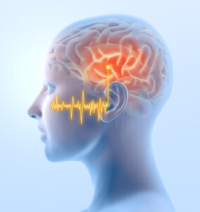 Serotonin and tinnitus, tinnitus and brain circuitry, brain and tinnitus