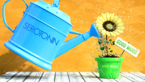 Boosting serotonin, antidepressants and serotonin, serotonin and mood