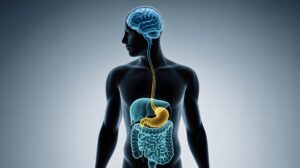 Brain and body serotonin, CNS and peripheral serotonin, brain and gut serotonin