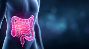Gut serotonin, peripheral serotonin