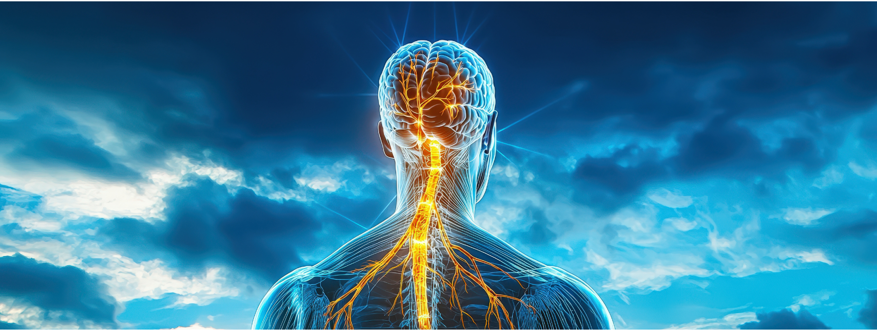 How does serotonin work, serotonin, serotonin deficiency, serotonin deficit