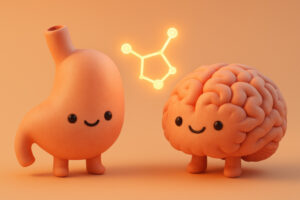 Gut serotonin, gut-brain axis, serotonin in the gut and brain, gut-brain connection