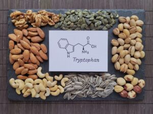 Tryptophan foods, tryptophan-rich foods, foods for serotonin