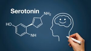 Serotonin und Lernen, Serotonin als Neurotransmitter, Was ist Serotonin?, Serotoninmangel, Serotonin-Defizit