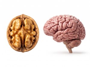 Erhöhen Walnüsse den Serotoninspiegel? Walnüsse und Stimmung, Walnüsse und Depressionen